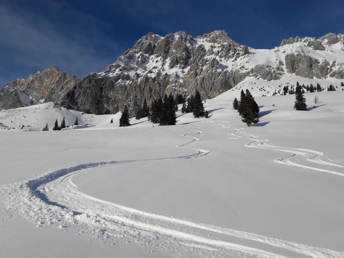 Appartement Gipfelblick- Tiroler Zugspitze Arena In 비버위어 외부 사진